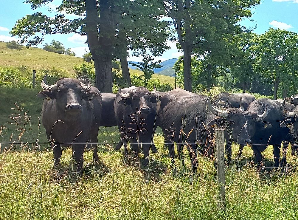 Gesundheitspraxis Friedrichroda